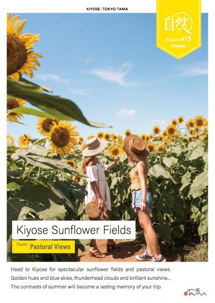 Kiyose Sunflower Fields