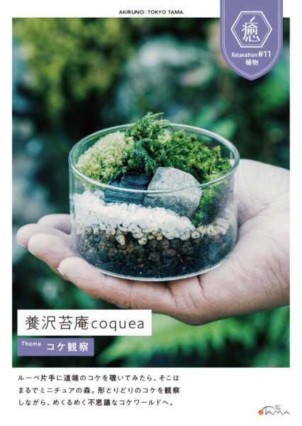 養沢苔庵coquea