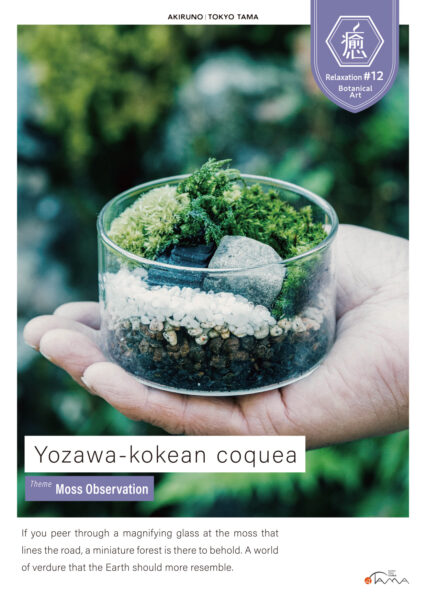 Yozawa-kokean coquea