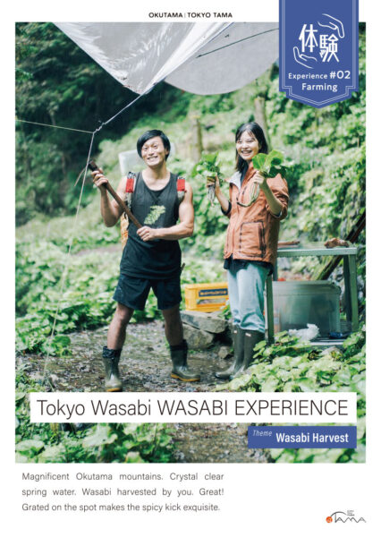 Tokyo Wasabi WASABI EXPERIENCE
