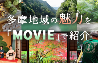 動画ページ