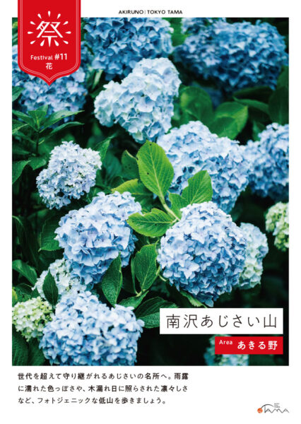 南沢あじさい⼭