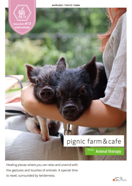 pignic farm & cafe
