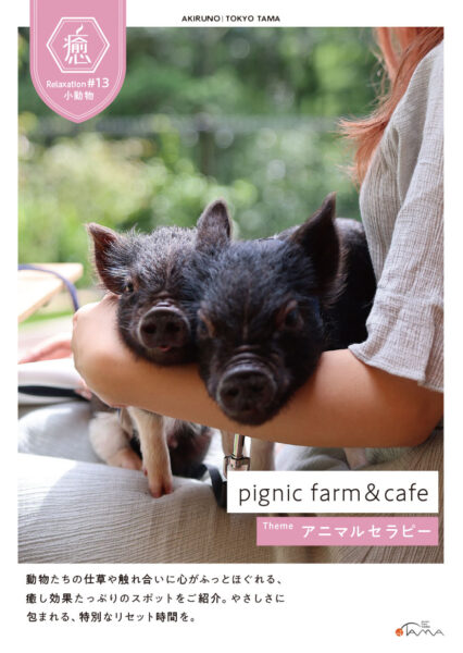 pignic farm & cafe