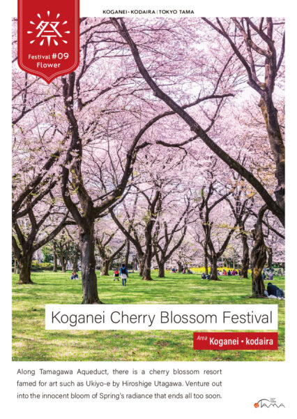 Koganei Cherry Blossom Festival