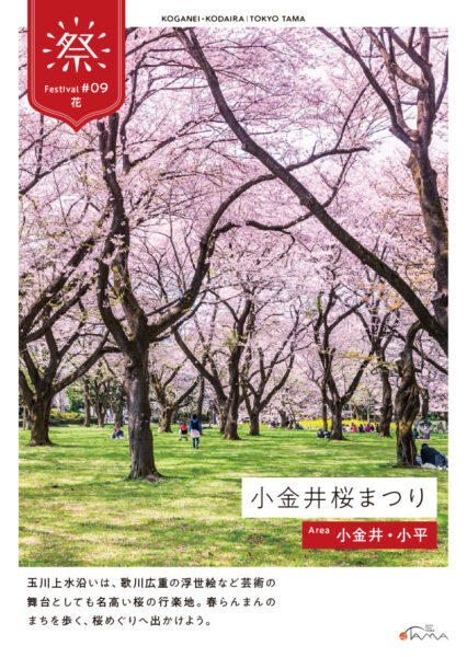 ⼩⾦井桜まつり