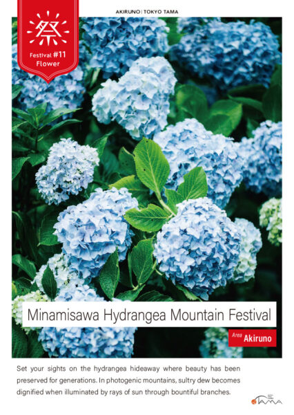Minamisawa Hydrangea Mountain Festival